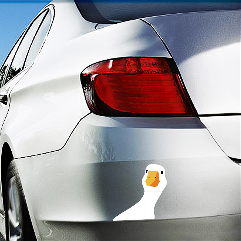 Seguridad del coche para pato  - Outdoor Power Board reseña y precio